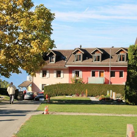 Les Narcisses Apartment Blonay Bagian luar foto